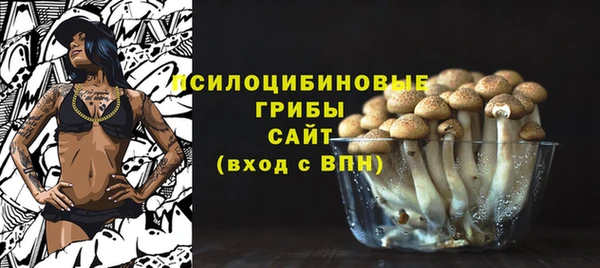 прущие крисы Пролетарск